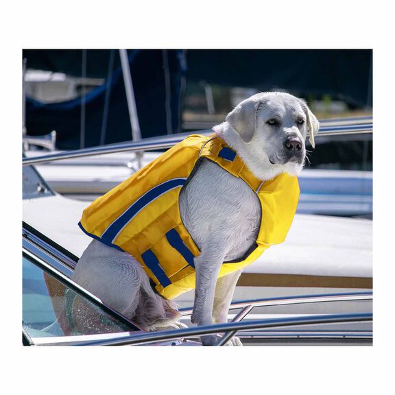 Monterey Bay Offshore Pet Life Jacket, X-Small image number 4