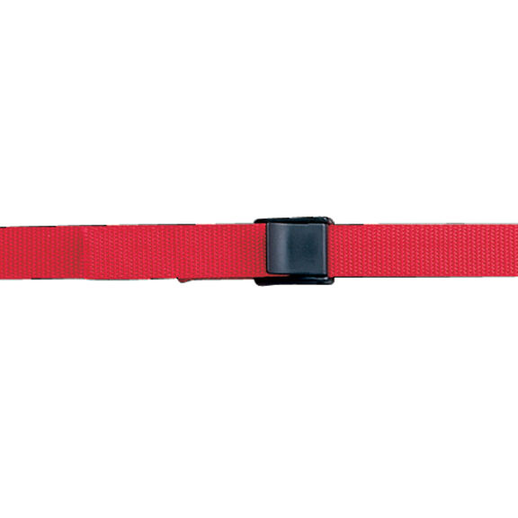 1" Cam Buckle image number 0