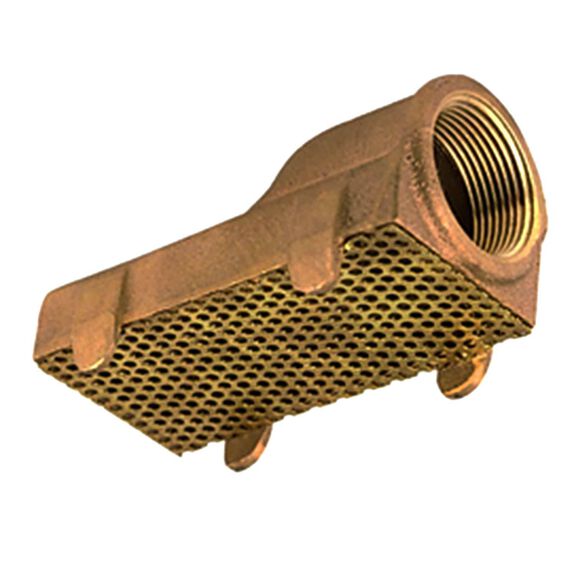 Pump Strainer 1 1/4" Outlet, 4 3/4" L image number 0