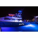Lumishore SUPRA TIX804 LED Through Hull Underwater Light, 13,500 Lumen, Blue/White image number 2