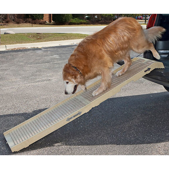 PetSTEP&reg; II Multi-Purpose Pet Ramp image number 1