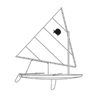 Sunfish Custom Rigging