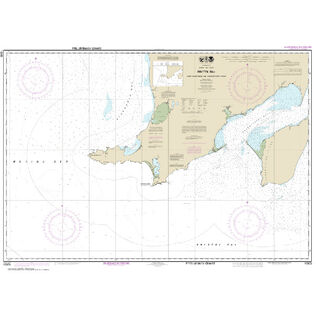 #16305 Bristol Bay Cape Newenham & Hagemeister Strait