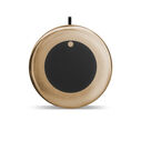 GT12M-THF Bronze Transducers image number 1