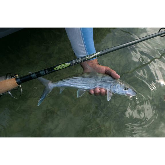 7' Triumph Inshore Spinning Rod, Heavy Power image number 6