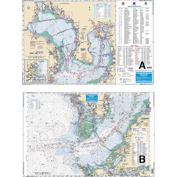 Tampa Bay Area Inshore Fishing image number 0