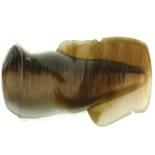 Gulp! Alive!&reg; Saltwater Eel