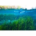8'  Pro II Shallow Water Anchor image number 4