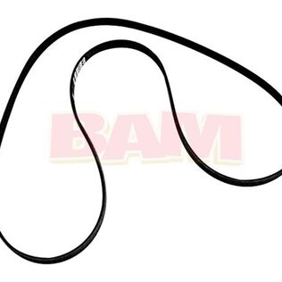 Quicksilver Serpentine Belt 57-865615Q07