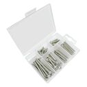 Phillips Pan Head Self Tapping Screw Kit, 48 Piece, Stainless Steel image number 0