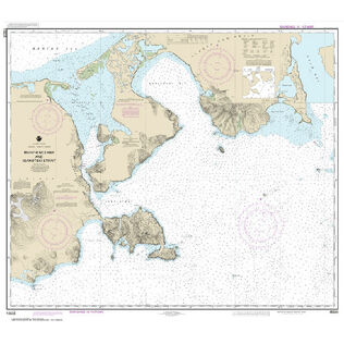 #16535 Morzhovoi Bay & Isanotski Strait