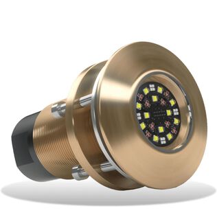 Lumishore LM600558