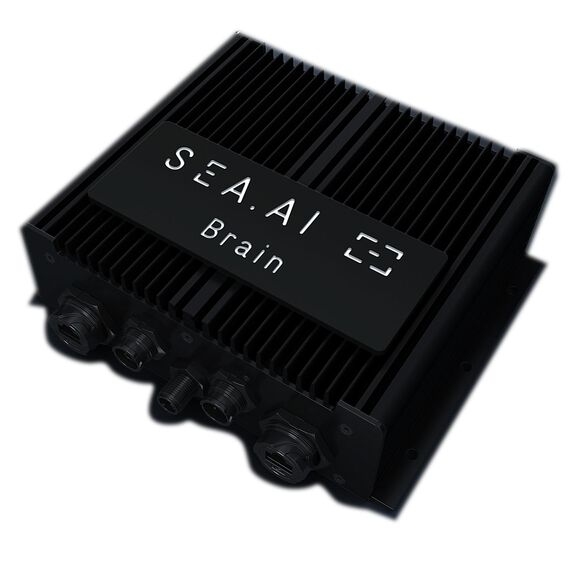 SEA.AI Brain image number 1