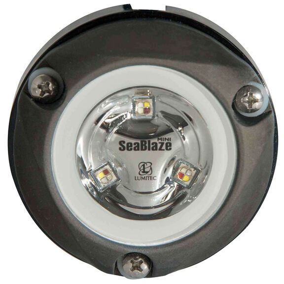 Zambezi Mini Surface Mount Underwater Pontoon Light, 890 Lumen, White Non-Dimming image number 0