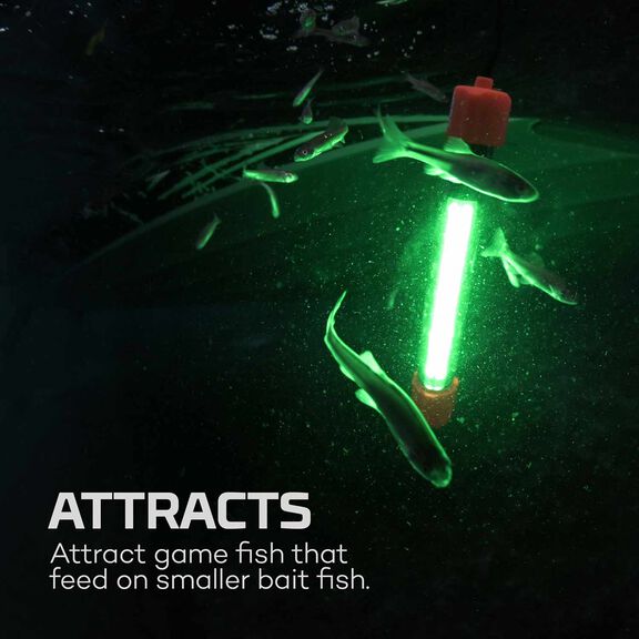 Submerser 800C Submersible Fishing Light image number 3