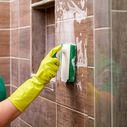 Tub & Tile Scrub image number 1