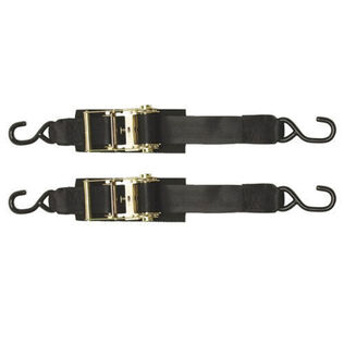 2" x 2'  Heavy Duty Boat Buckle Ratchet Transom Tiedown, 2-Pack
