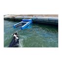 Pup Plank Boost Kit Inflatable Dog Ramp image number 2
