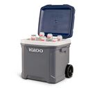 Maxcold Latitude 62 Quart Roller Cooler image number 3