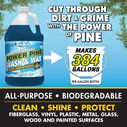 POWER PINE WASH & WAX GAL image number 3