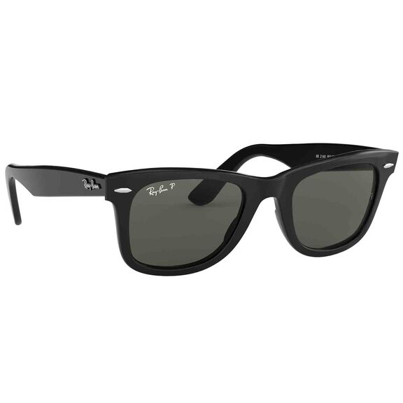 Wayfarer Polarized Sunglasses image number 0
