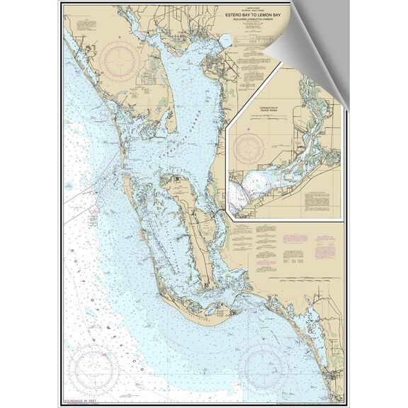 Charleston Harbor  Decorative Nautical Chart image number 0
