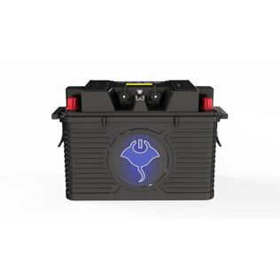 ABYSS&reg; 12V 220Ah NMEA 2000 Dual Purpose Marine Lithium Battery