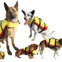 Deluxe Pet Life Jacket Yellow, X-Small image number 0
