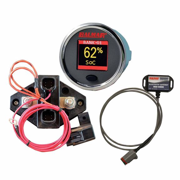 Battery Monitor Kit, 12V-48V, with Gateway image number 0