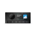 A60 Marine Head Unit with 2.95" Color Display image number 0
