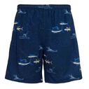 Men's Marine Charts Swim Trunks image number 0