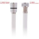 Hose 10' Rubber PVC 1/2" NPS-F + 1/2" NPS-F White image number 1