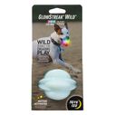 GlowStreak&reg; Wild&trade; LED Ball - Disc-O image number 1