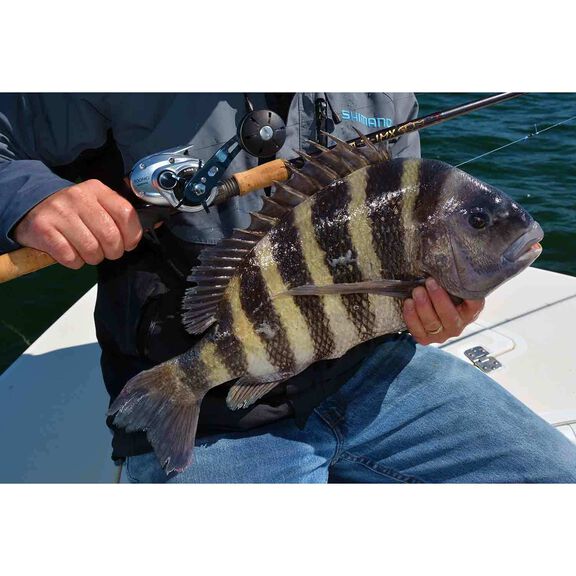 Tranx 400A Baitcasting Reel image number 4