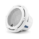 M6-10W-C-GwGw-4 10" Marine Subwoofer Driver, White Classic Grille image number 0