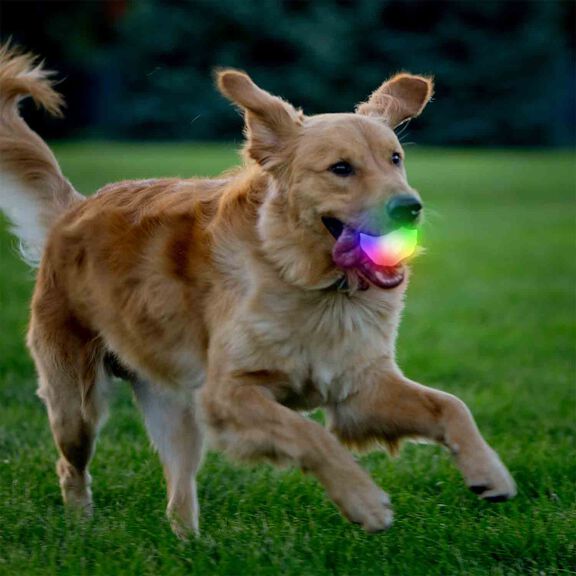 GlowStreak&reg; Wild&trade; LED Ball - Disc-O image number 7