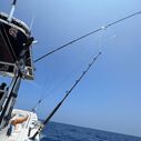 22' Open Water Internal & Collapsible Carbon Fiber Outrigger Poles image number 2