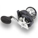 Torium TOR20HGA Star Drag Conventional Reel, 43" Line Speed image number 0