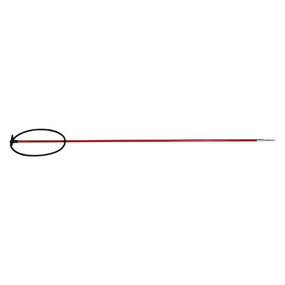 30" Fiberglass Pole Spear image number 0