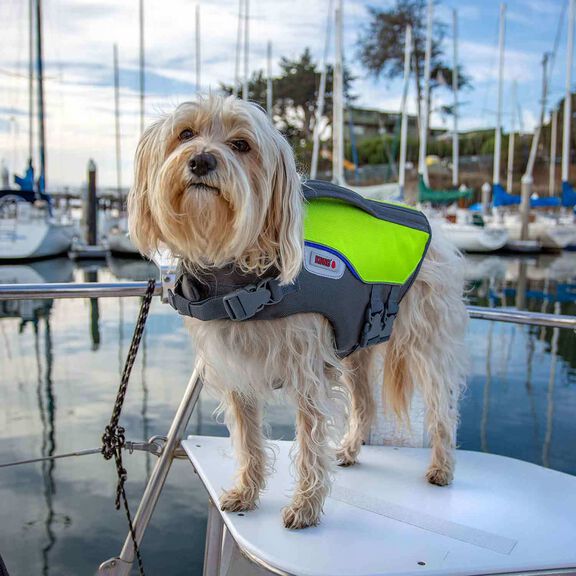 AquaPro Pet Life Jacket, X-Small image number 5