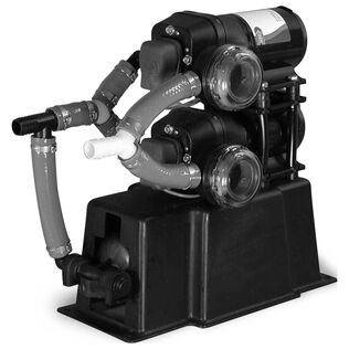 Dual Parmax Water Pump, 12V