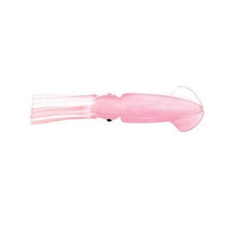 Rock Cod Squid Rig