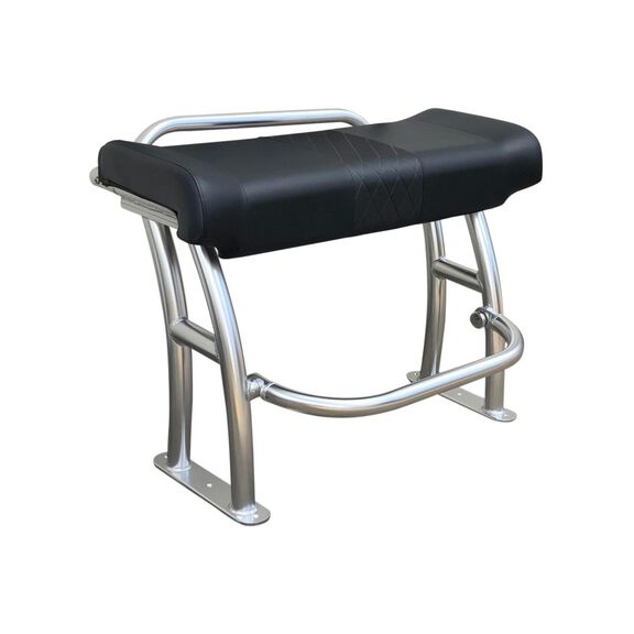 Pro Series Leaning Post, Polished Frame, Grab Rail, Black Upholstery image number 0