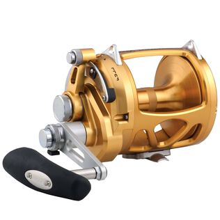 International&reg; 50VISW 2-Speed Conventional Reel, Gold
