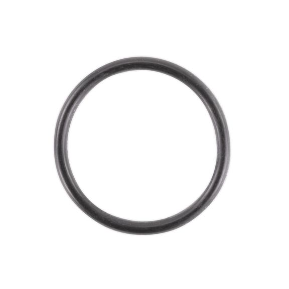 SIERRA 8-0215 O-Ring image number 0