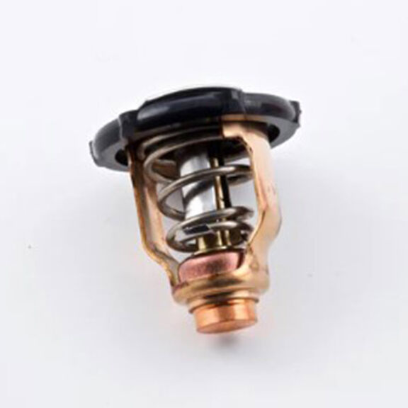 Yamaha 6EK-12411-00-00 Thermostat image number 0