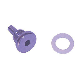 18-4249 E-Tec Lower Unit Drain Screw With Magnet