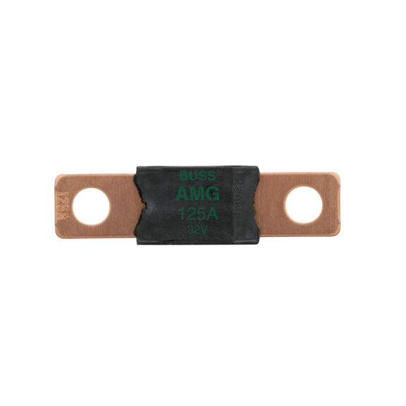 AMG Fuse, Ignition Protected image number 0