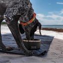 Boomer&trade; 4 Stainless Steel Dog Bowl image number 5