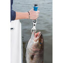 Grip & Weigh Fish Scale Tool image number 3